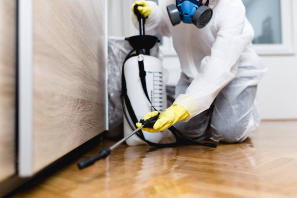 Best Ant Control Services  in Ponchatou, LA