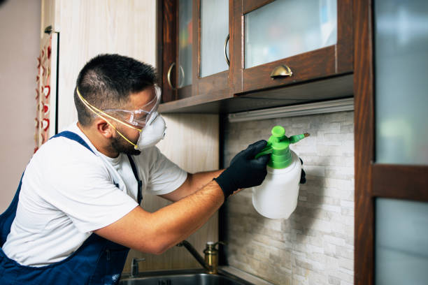 Best Bed Bug Extermination  in Ponchatou, LA