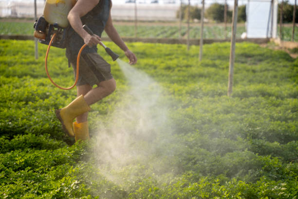 Best Emergency Pest Control  in Ponchatou, LA
