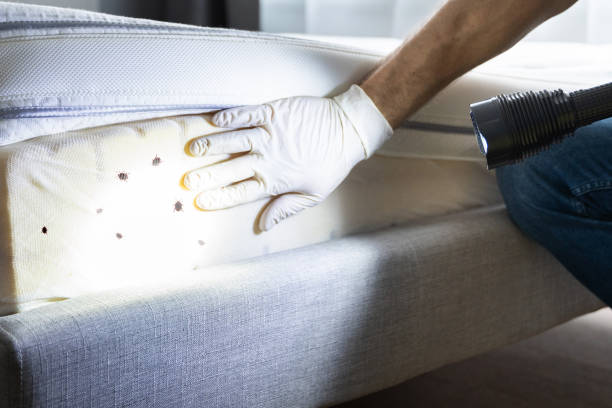 Best Cockroach Control Services  in Ponchatou, LA