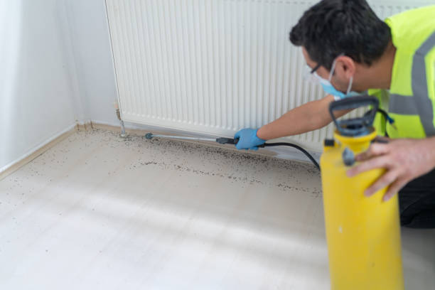 Best Termite Control Services  in Ponchatou, LA